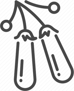 Wolfberry PNG