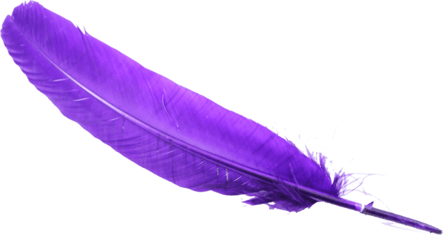 Feather PNG