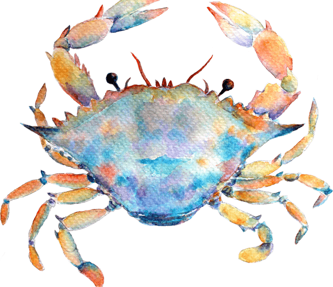 Cancer Season PNG