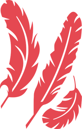 Feathers PNG