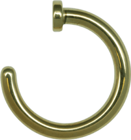 Nose Ring PNG