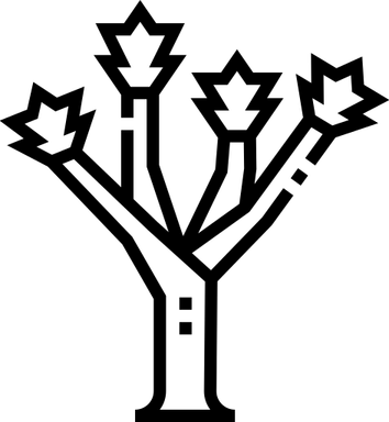 Joshua Tree PNG