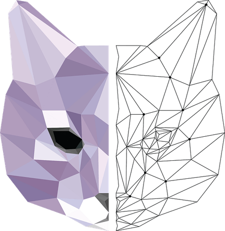 Geometric Cat PNG