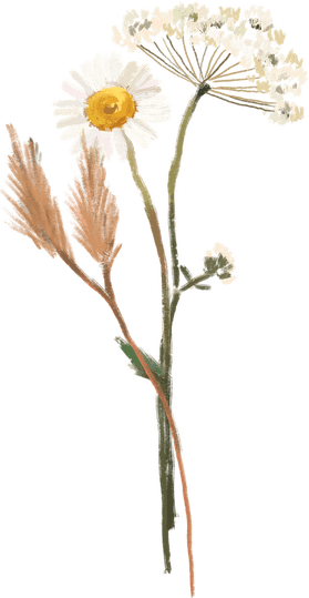 Dry Flower PNG