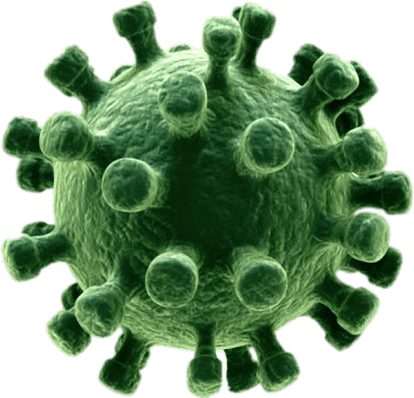 Coronavirus PNG