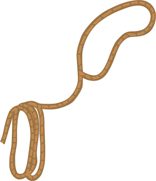 Rope Cartoon PNG