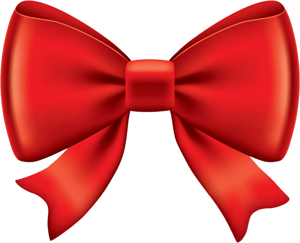 Hair Bow PNG