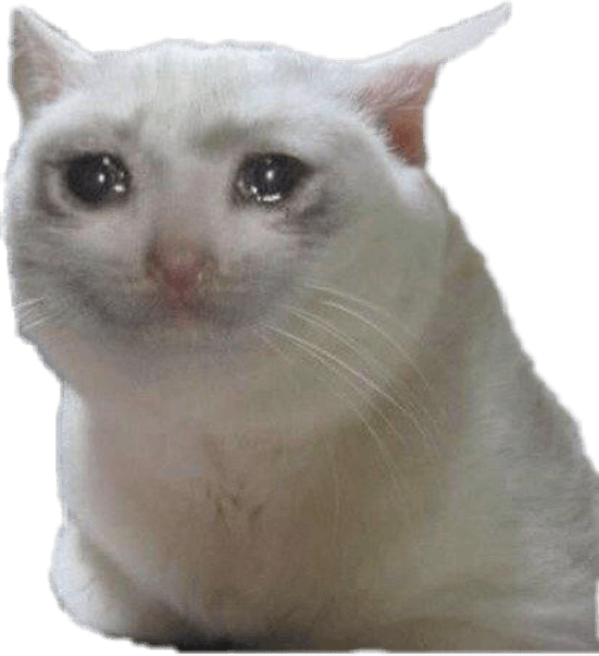 Crying Cat Memes PNG