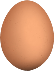 Brown Egg PNG