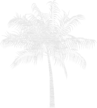 Palm Tree Black And White PNG