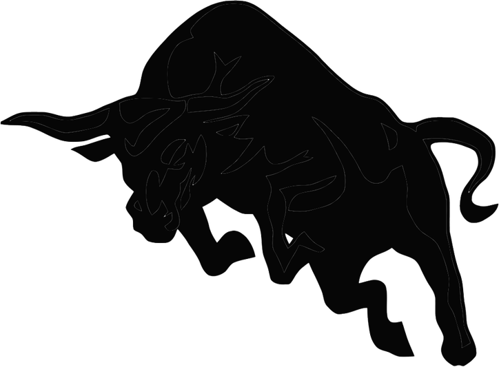 Bulls Logo PNG