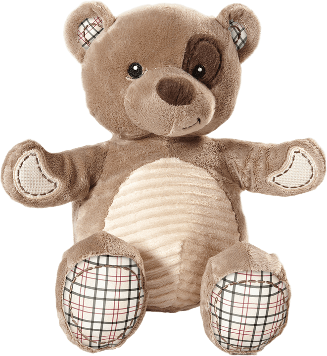 Bear Baby PNG