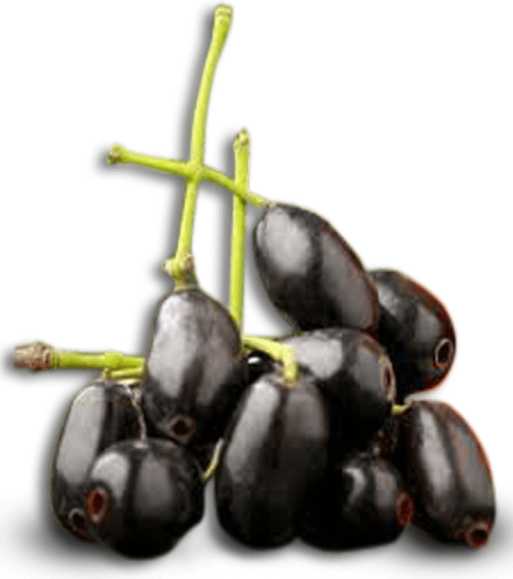 Java Plum PNG