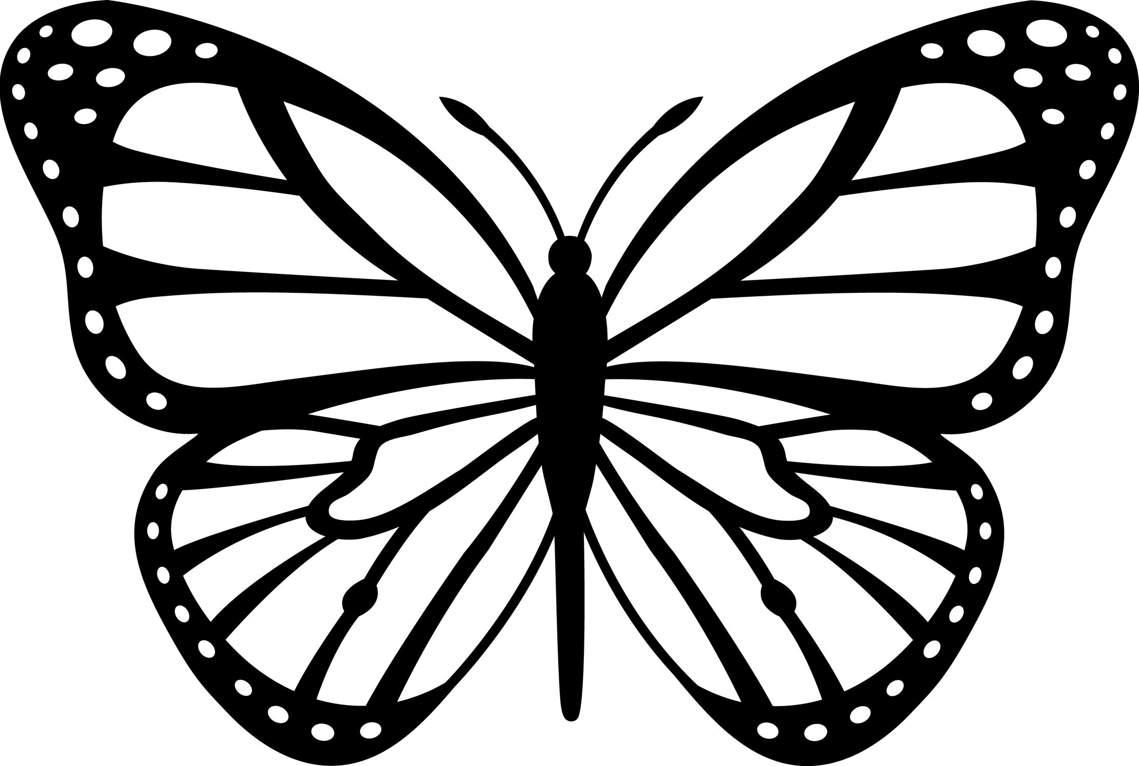 Butterfly Stencil PNG