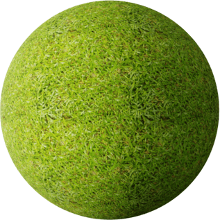 Grass Texture PNG