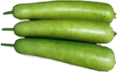 Bottle Gourd PNG
