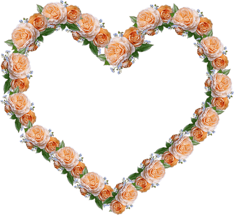 Floral Heart Border PNG