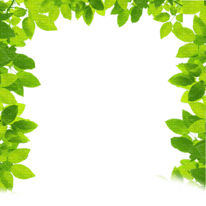 Spring Border PNG