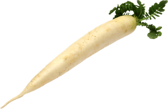 Raddish PNG