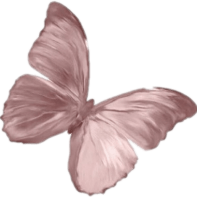 Ai Butterfly PNG
