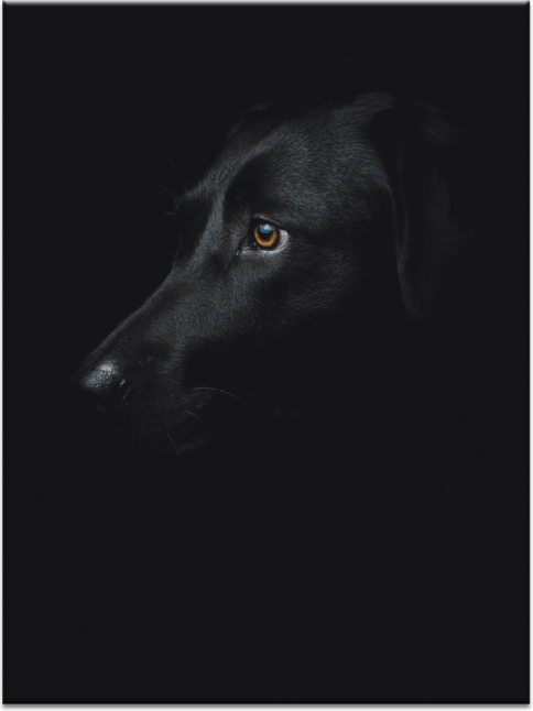 Full Screen Black PNG