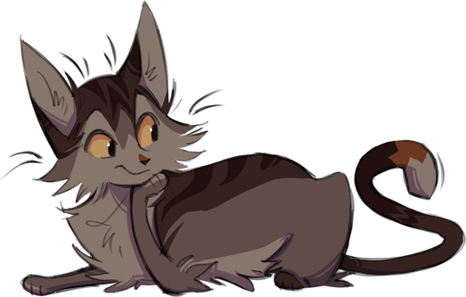 Brown Tabby Cat PNG