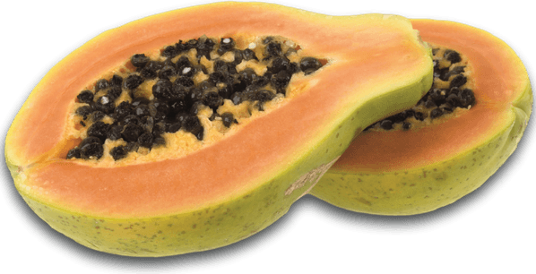 Papaya PNG
