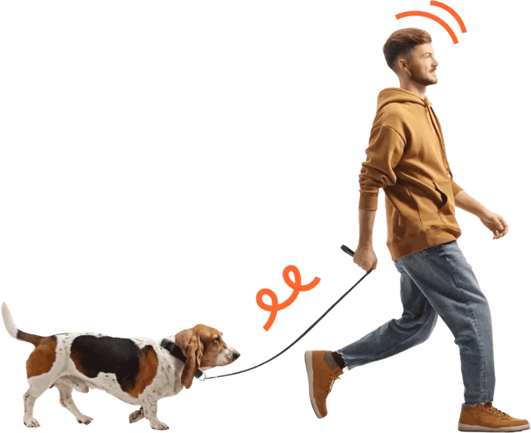 Person Walking Dog PNG