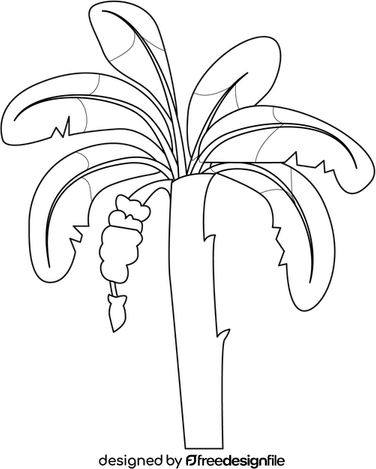 Wedding Banana Tree PNG