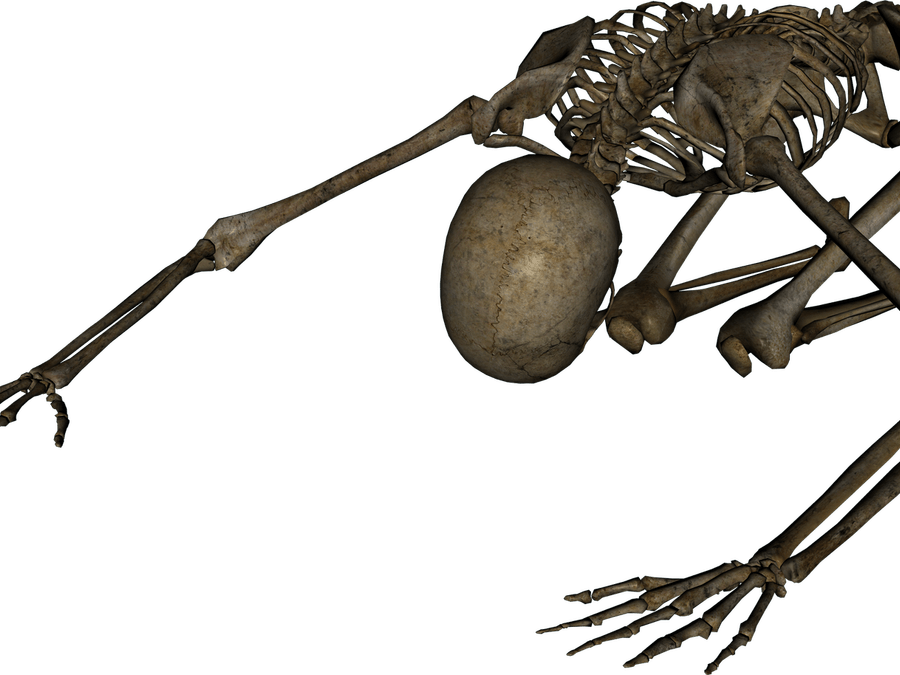 Skeleton PNG