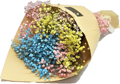 Babys Breath PNG