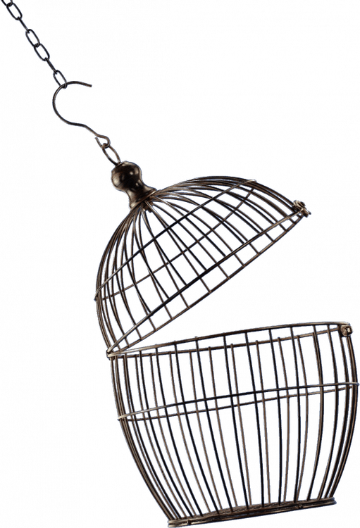 Cage PNG