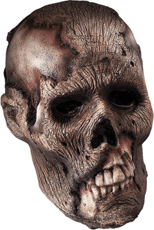 Skeleton Head PNG