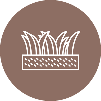 Grass Circle PNG