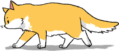 Cat Walking PNG