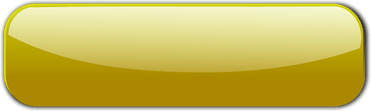 Golden Button PNG