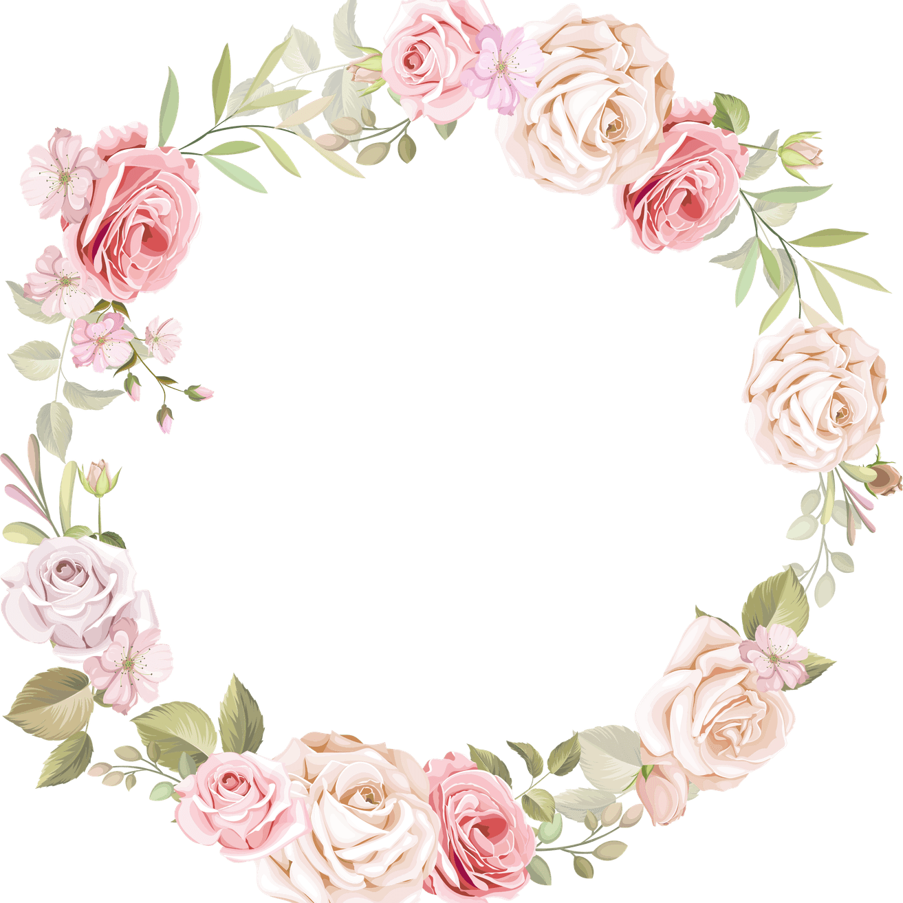 Pink Rose Border PNG