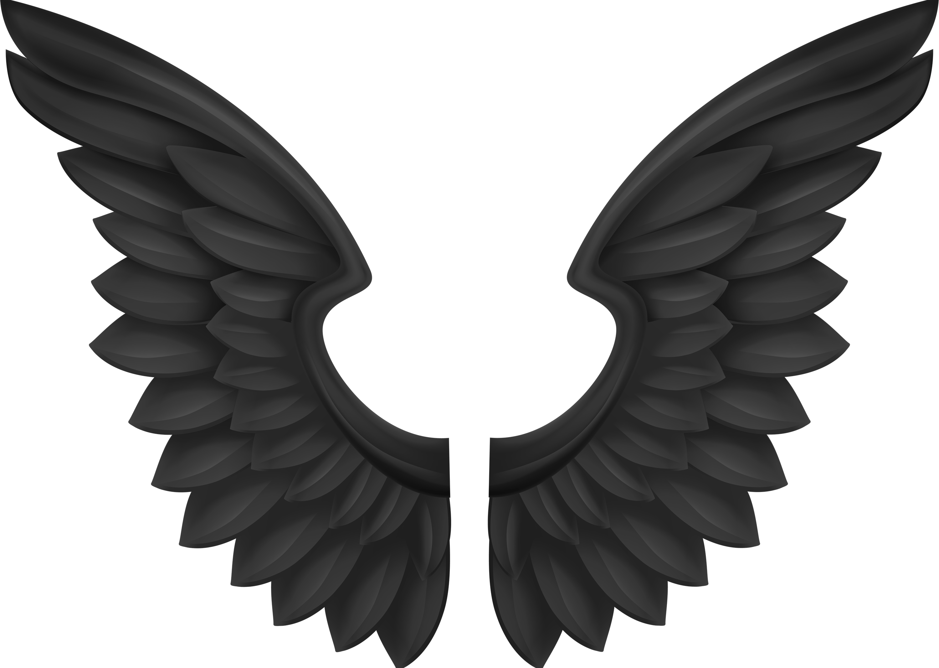 Cartoon Wings PNG