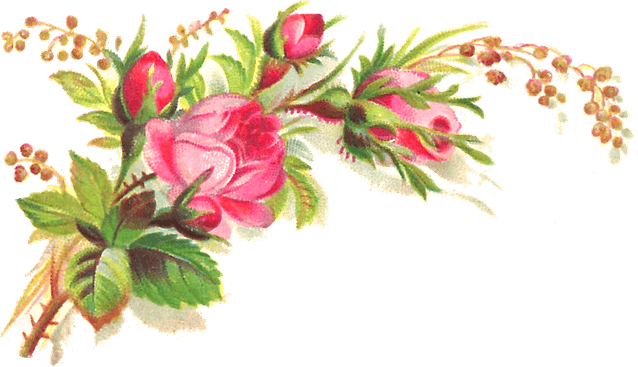 Flower Colorful PNG
