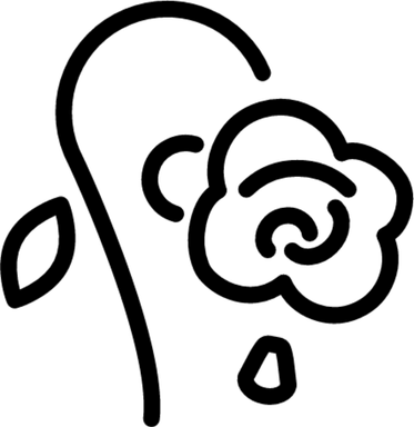 Wilting Rose PNG