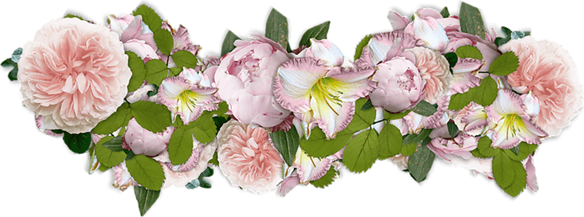 Flores PNG
