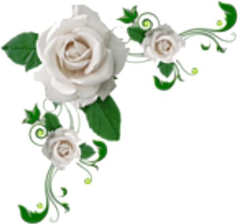 White Rose Border PNG