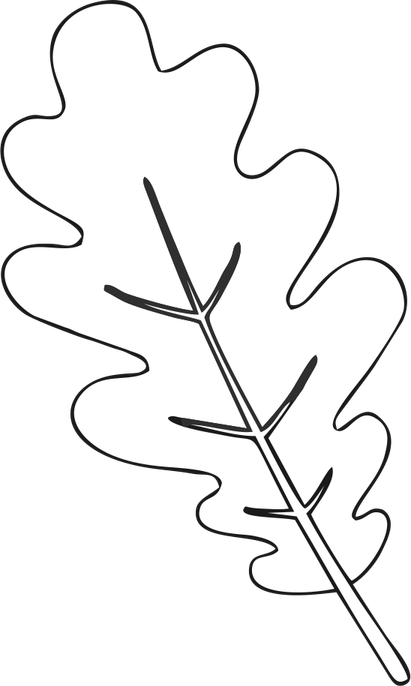 Acorn Leaf PNG