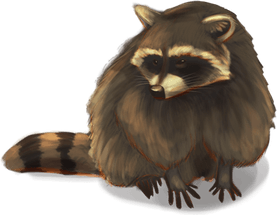 Raccoons PNG