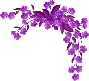 Flores PNG