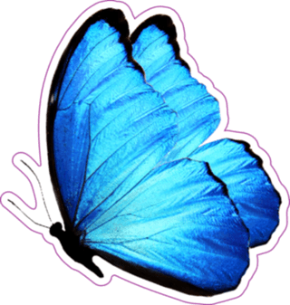 Blue Butterfly Aesthetic PNG