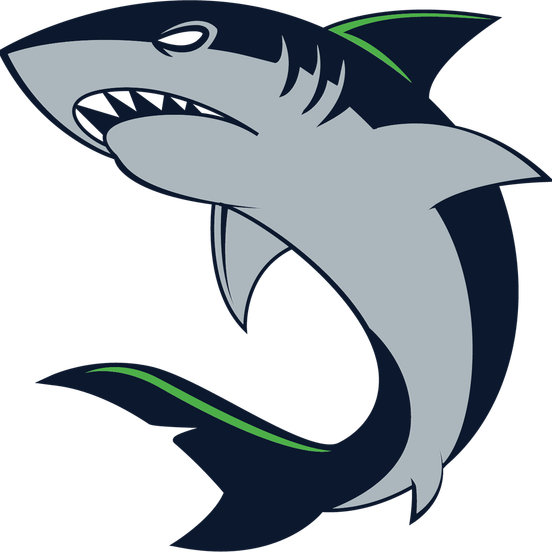 Shark Cartoon PNG