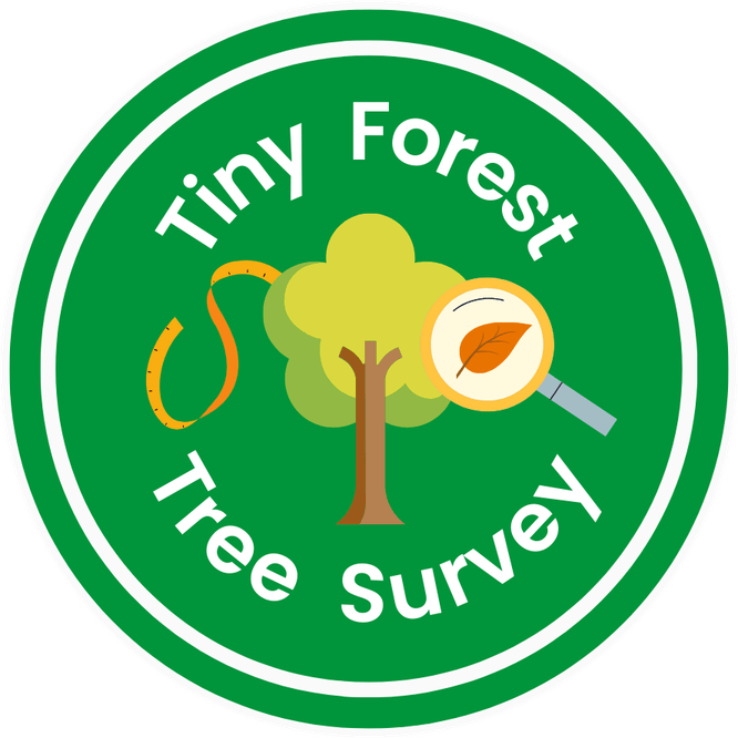 Forest Tree PNG