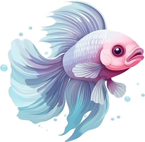 Betta Fish PNG