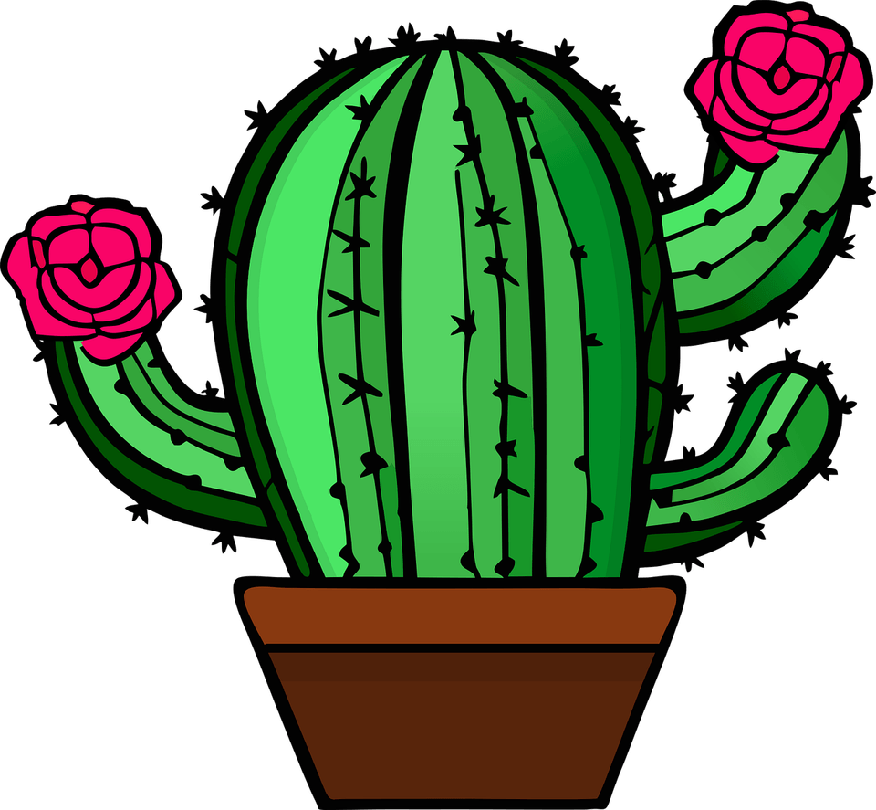 Cactus Flower PNG